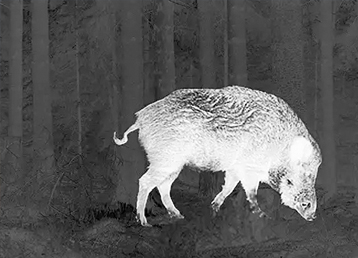 Application Of Infrared Thermal Imaging In Security Field