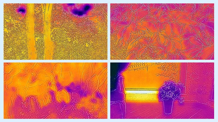 Can A Thermal Camera Detect Moisture Level Of The Topsoil?